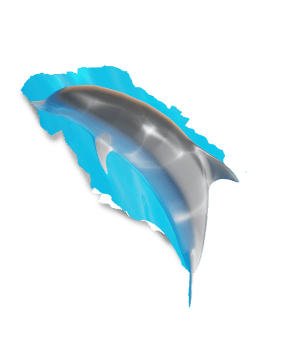 Dolphin