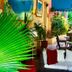 Casa del Caribe Inn in San Juan with lush tropical plants and a colorful courtyard seating area