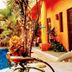 Casita de Maya Boutique Hotel in Cozumel with courtyard pool, tropical plants, and orange walls