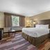 Best Western Plus Stoneridge Inn & Conference Centre in London guest room with king bed and window seating