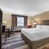 Best Western Plus Stoneridge Inn & Conference Centre room in London with king bed and desk