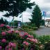 Motel 6-Seattle, Wa - Sea-Tac Airport South exterior with parking lot and landscaped flowers in SeaTac
