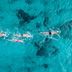 Melia Cozumel in Cozumel: aerial view of three swimmers in clear turquoise ocean water