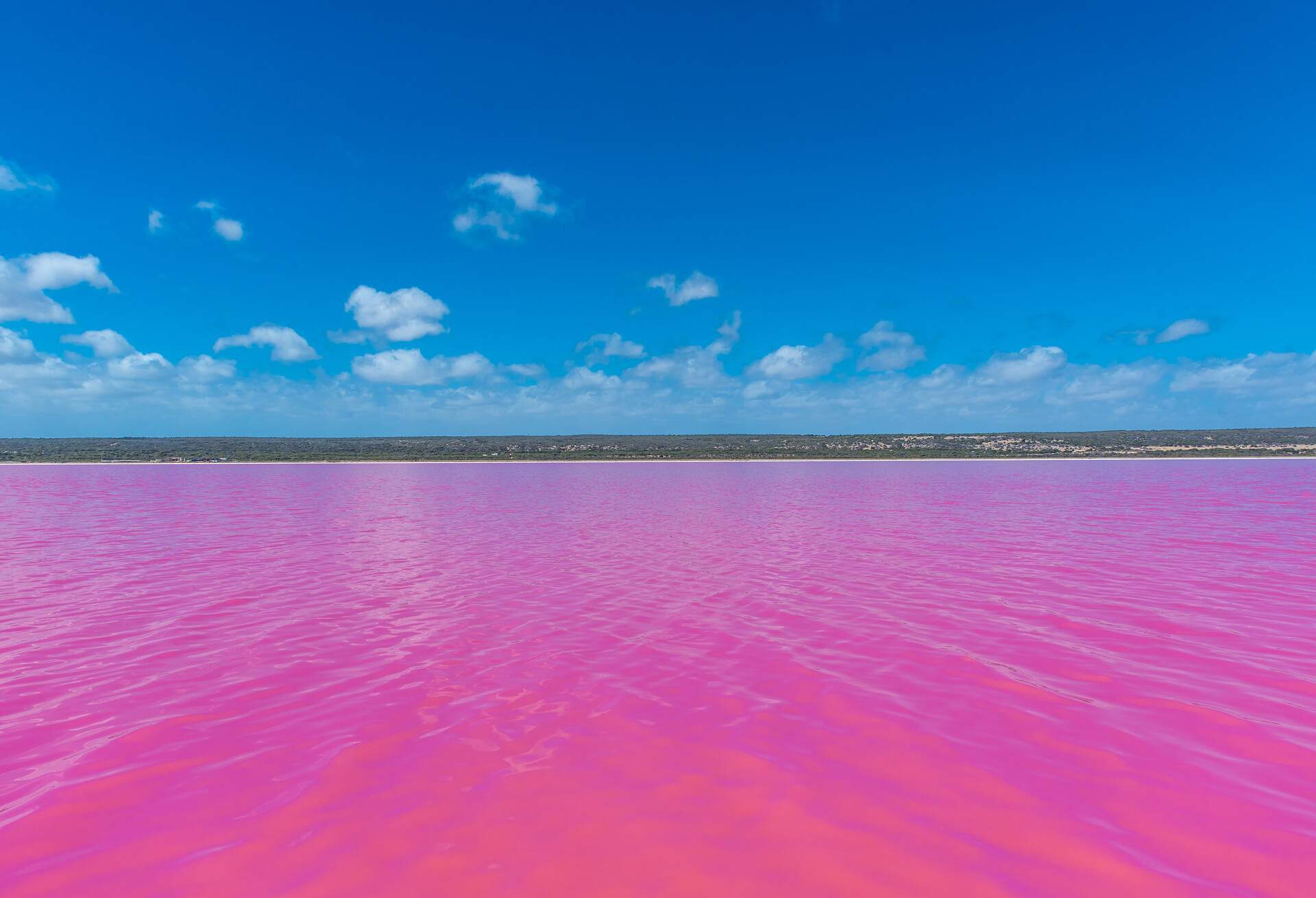 Look At This Bright Pink Lake! 