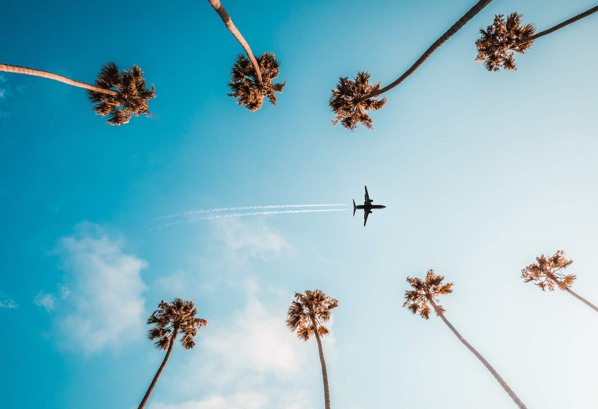When are flights cheapest for flying and booking? - KAYAK