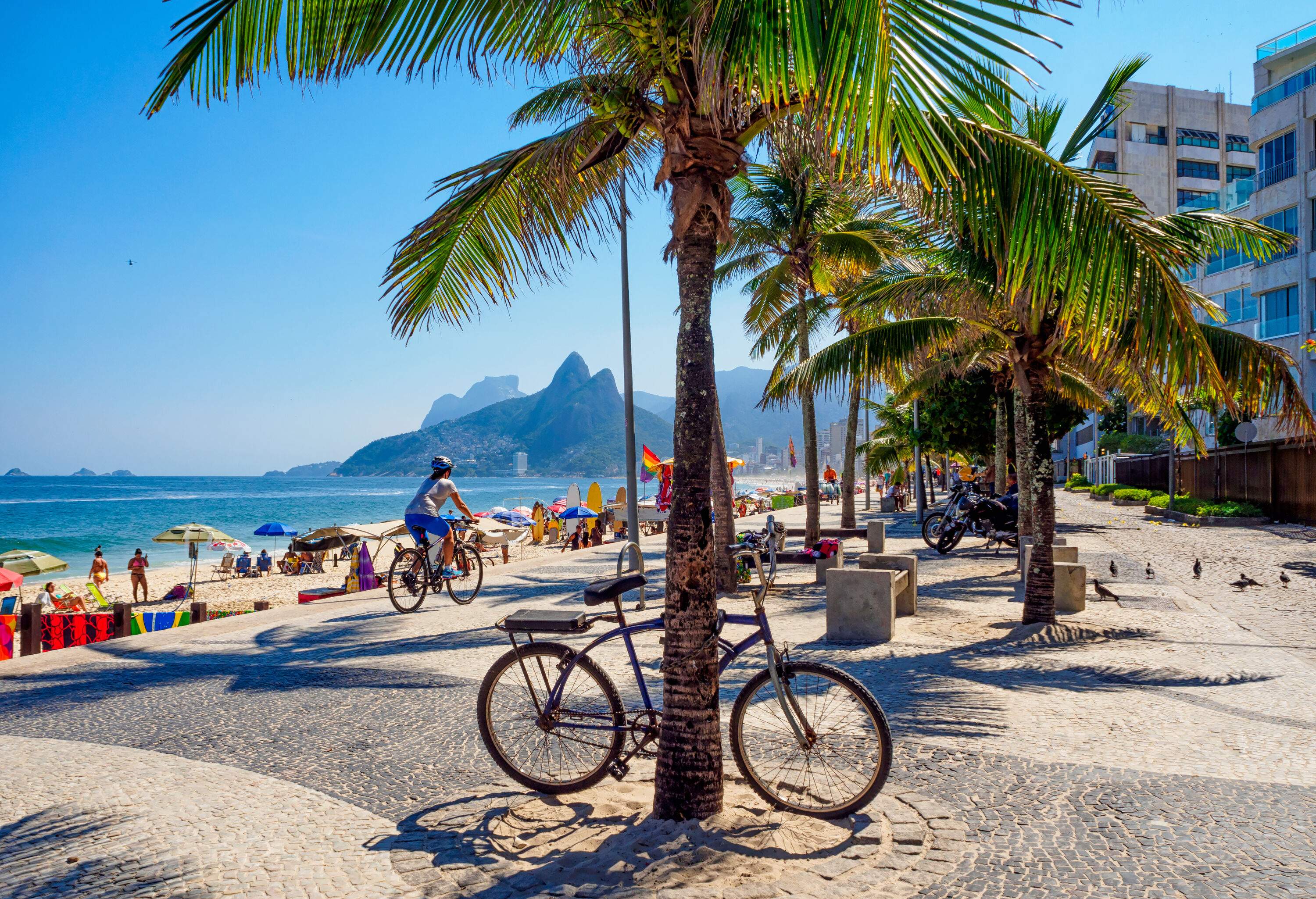 A promenade with bench seats and coconut trees facing a crowded beach.