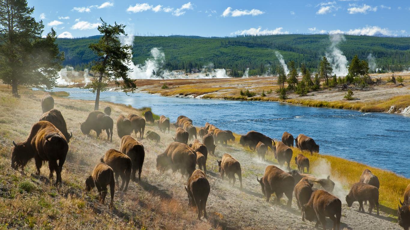 Cheap Flights to Yellowstone National Park - KAYAK