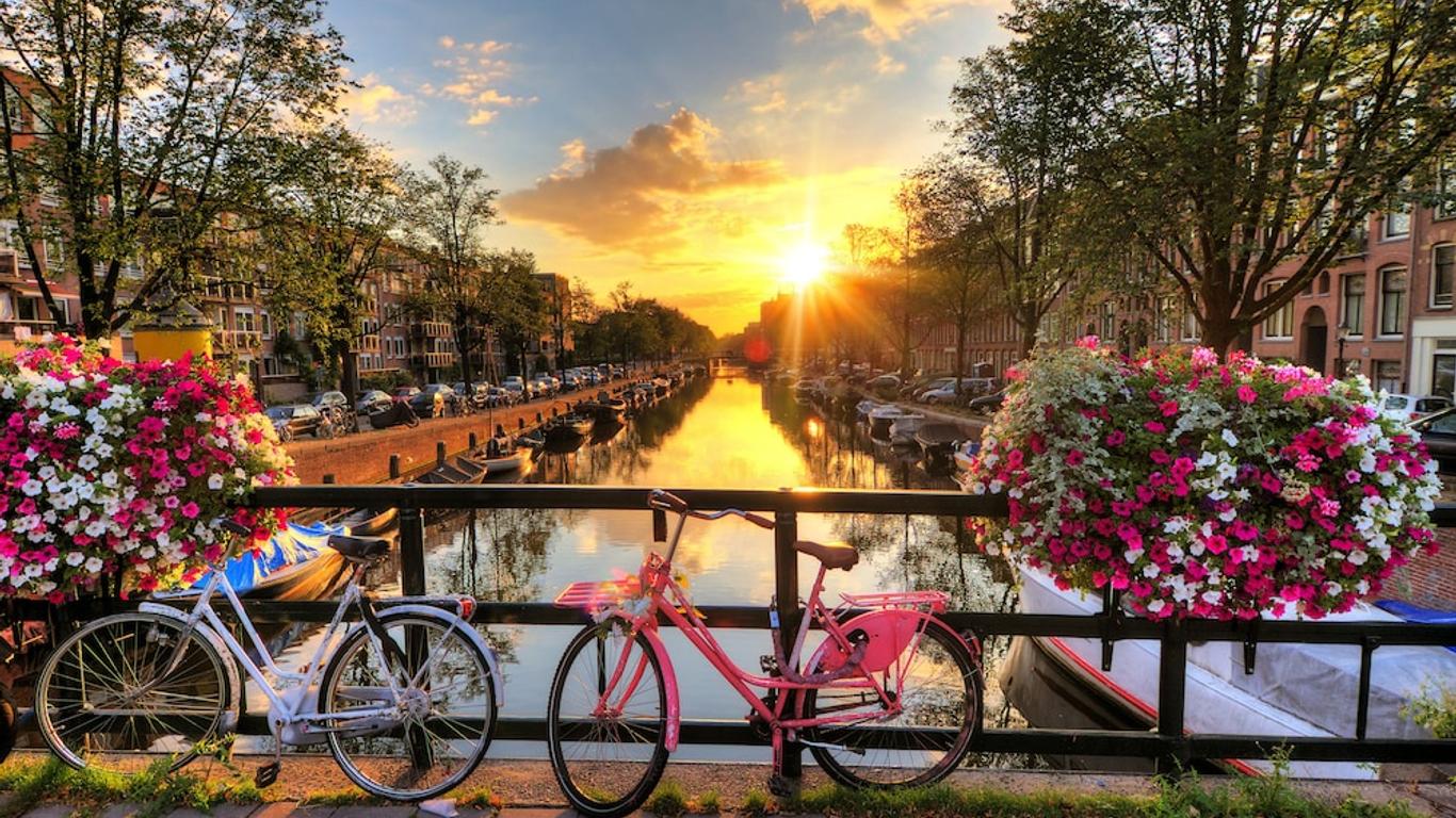 The Flying Pig Uptown from $16. Amsterdam Hotel Deals & Reviews - KAYAK